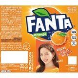 ファンタオレンジ 500ml x 24本 x 2ケース ペットボトル