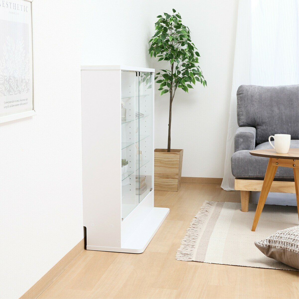 コレクションラック TOR ロータイプミラー付き