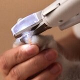 PETKIT ペット LED付爪切り PK403