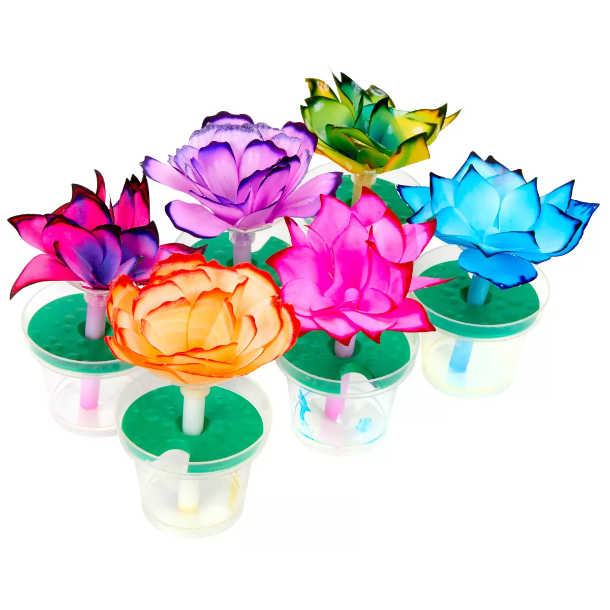 クレヨラ 花の色付け サイエンスキット マジカル ペーパーフラワー Costco Japan