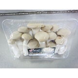 雪国えりんぎ500ｇ