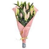 オリエンタル百合の花束 10本 ピンク 母の日期間配送 お届け日5月6日～5月11日