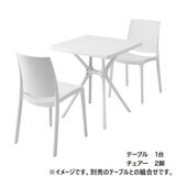 タカショー ガーデンチェア 2脚組