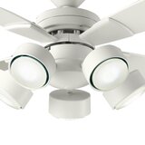 大光電機  LED ユニットフラットランプ　昼白色