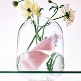 ハクスリー スキングロウエッセンス ビタラディアンス （美容液）50 mL