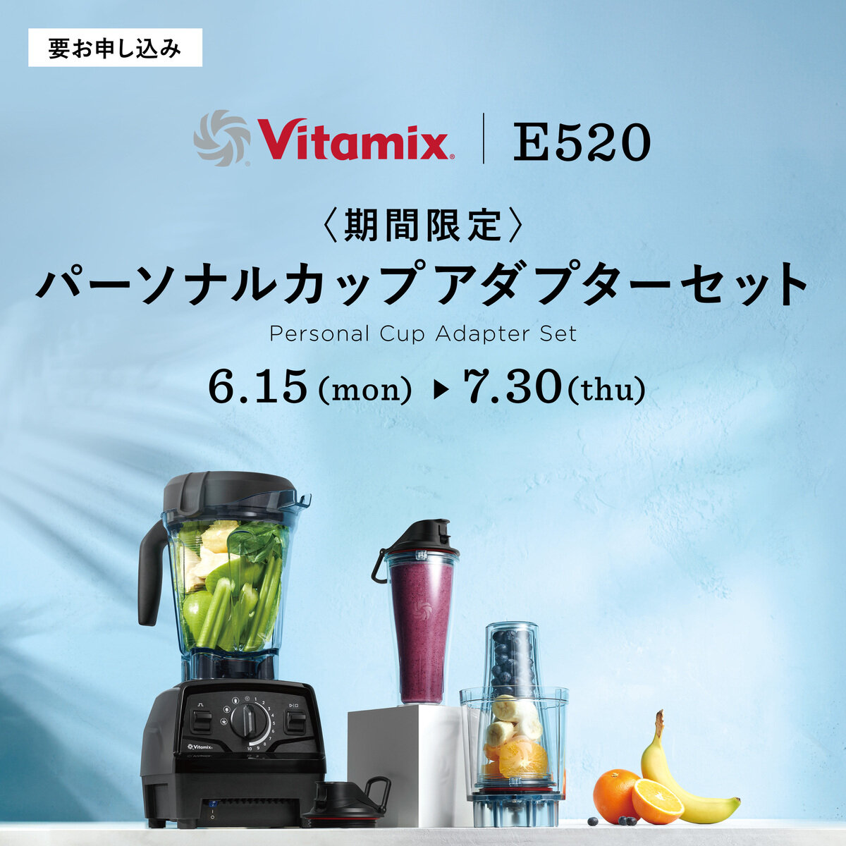 バイタミックス E520 Explorian Blender | Costco Japan