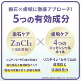 リステリン プロケア 1L x 3本セット