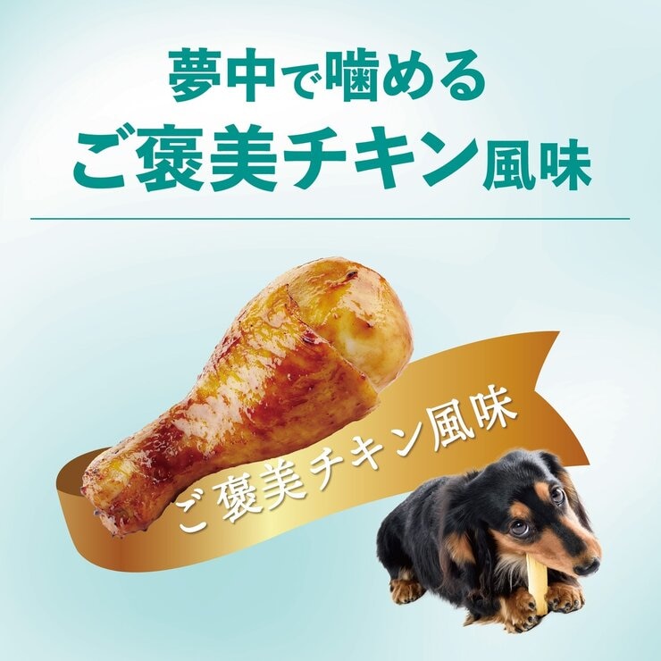 チューデント 歯磨きガム 5本 x 3袋 ご褒美チキン風味 愛犬用 チューデント 歯磨きガム 5本 x 3袋 ご褒美チキン風味 愛犬用