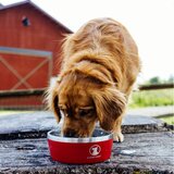 ラッキー ドッグ 犬用ボール 1.1L 赤