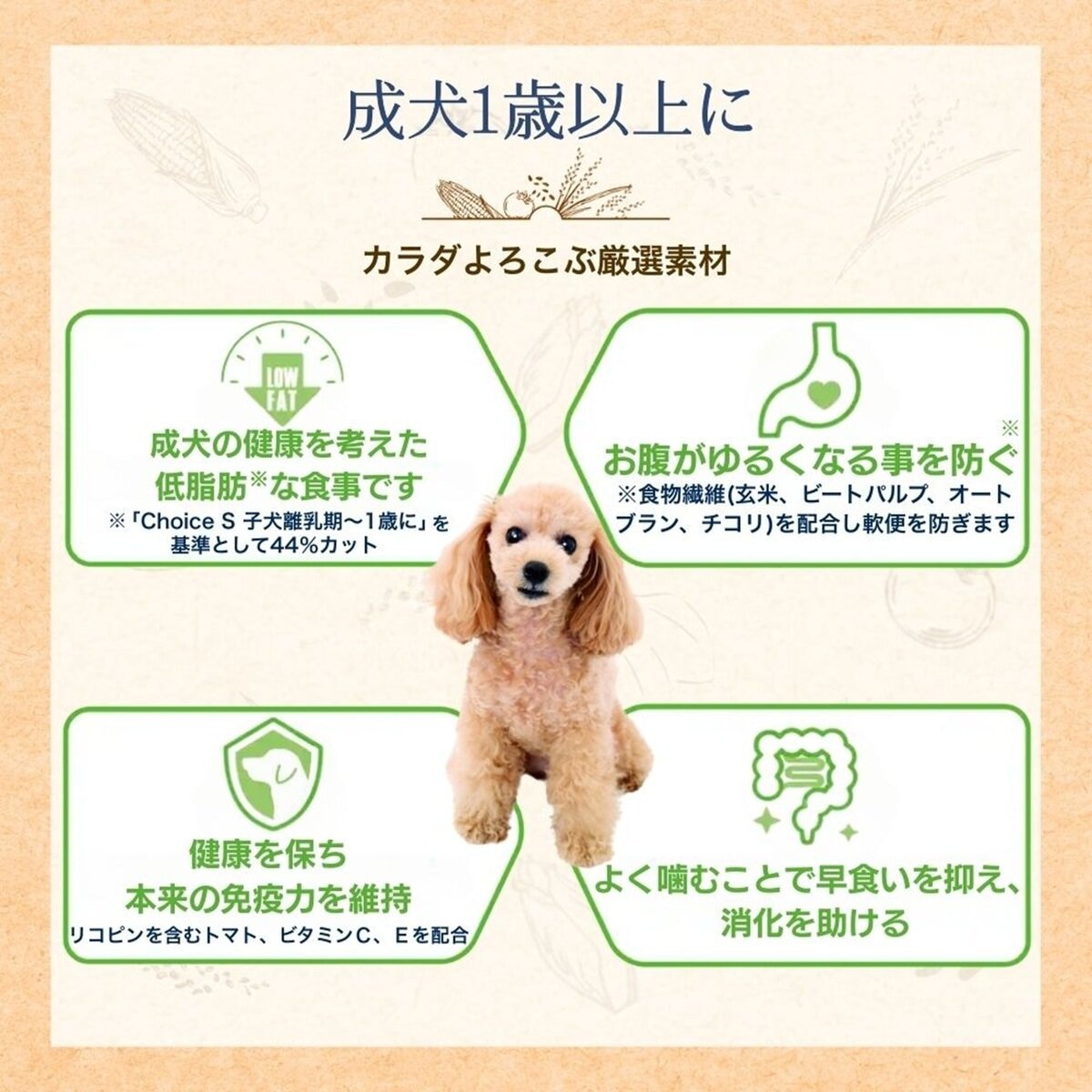 ファーストチョイス チョイスS 9kg