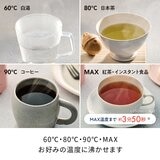 レコルト スマートケトル スリム 0.33L 2本セット REK-1(W&GY)